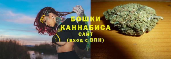 хмурый Арсеньев