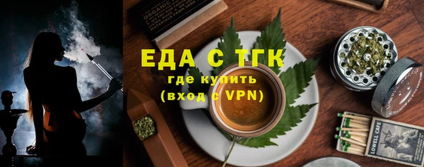 хмурый Арсеньев