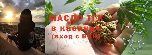 хмурый Алзамай
