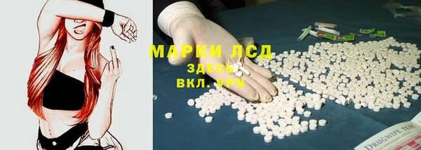 apvp Аркадак