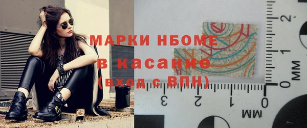 хмурый Арсеньев