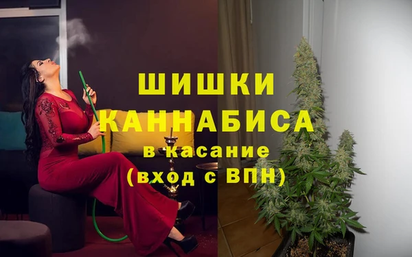 хмурый Арсеньев